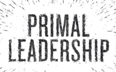 Daniel Goleman, Primal Leadership: Unleashing the Power of Emotional Intelligence
